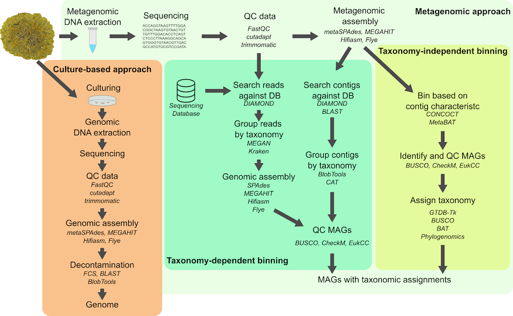 metagenomics