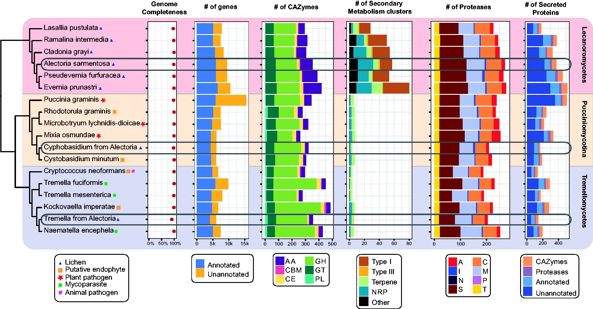 Predicted Input of Uncultured Fungal Symbionts to a Lichen Symbiosis from Metagenome-Assembled Genomes