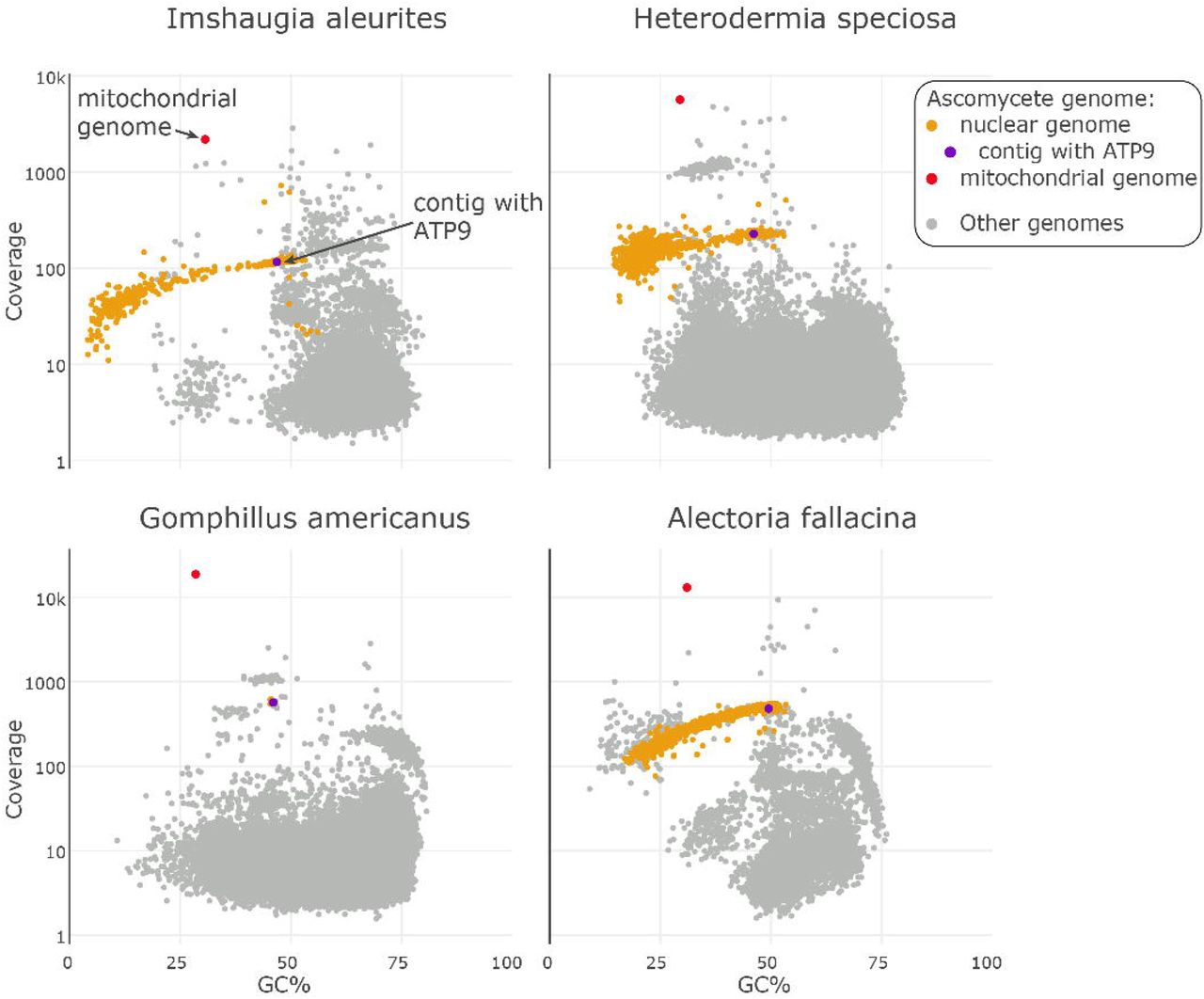 Lichen fungi do not depend on the alga for ATP production: A comment on Pogoda et al. 2018