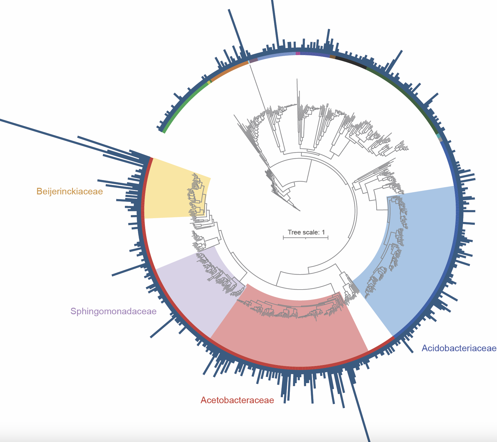 Microbial occurrence and symbiont detection in a global sample of lichen metagenomes