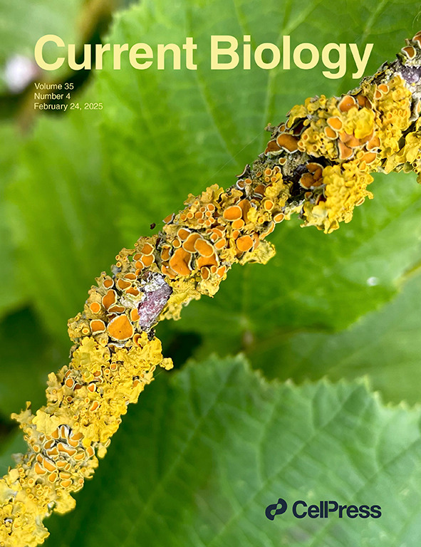 CurrBiol2025